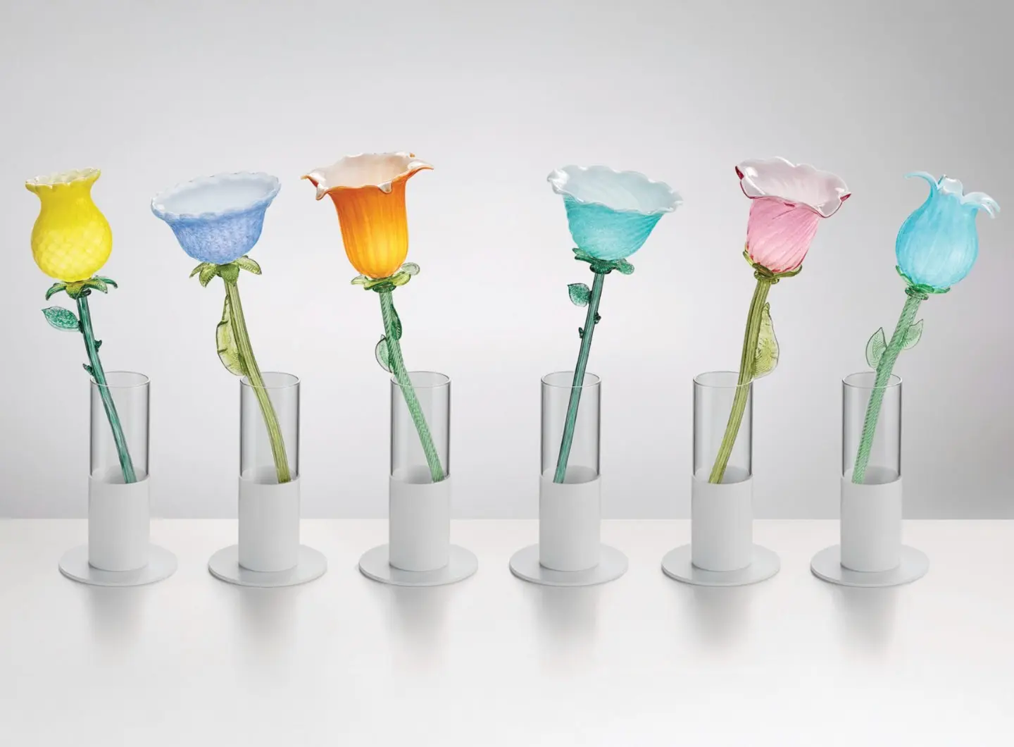 Flowers in Wonderland - Alessandra Baldereschi