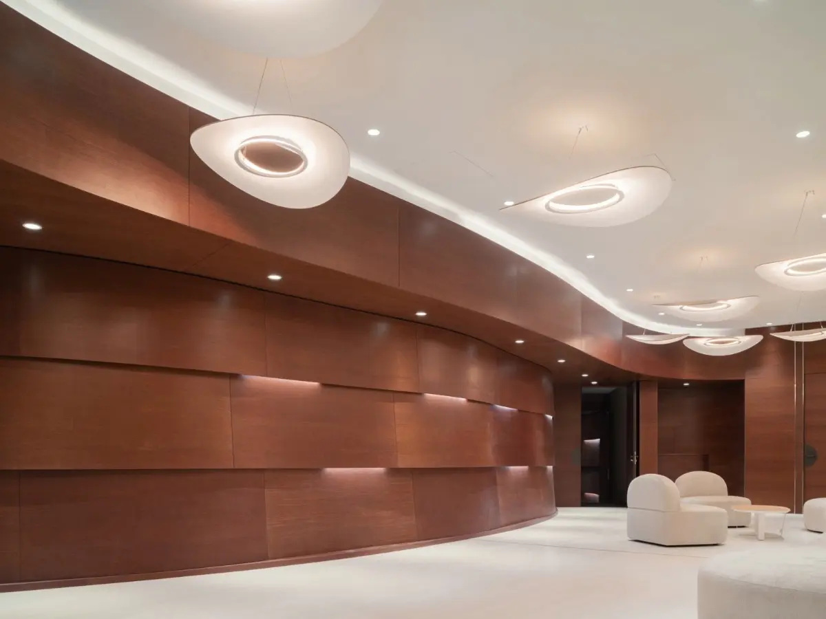 HENRI BURSZTYN _XFLR6 pendant light