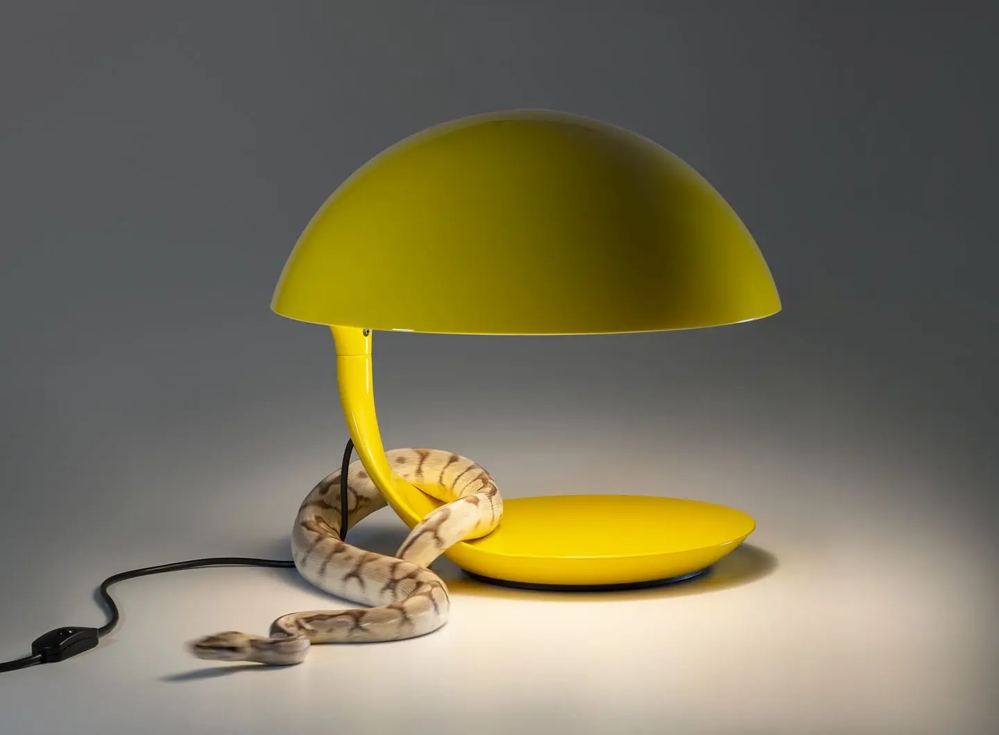 Martinelli Luce - Cobra