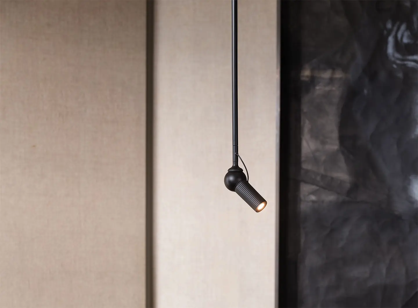 KDLN - Bird Ceiling black