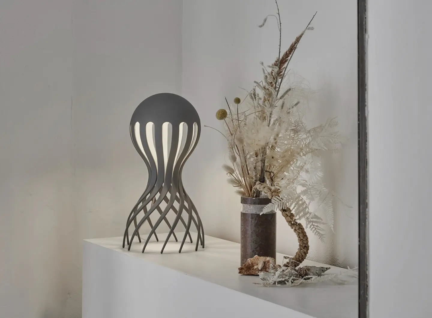 Cirrata grey