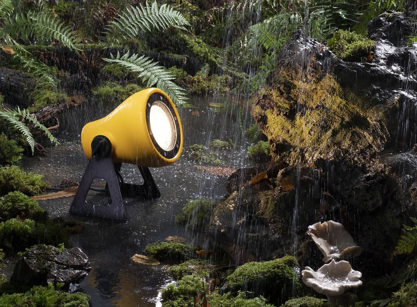 Martinelli Luce - Frog
