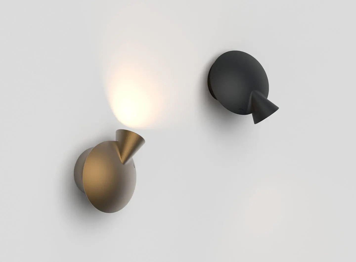 Martinelli Luce - Tortuga