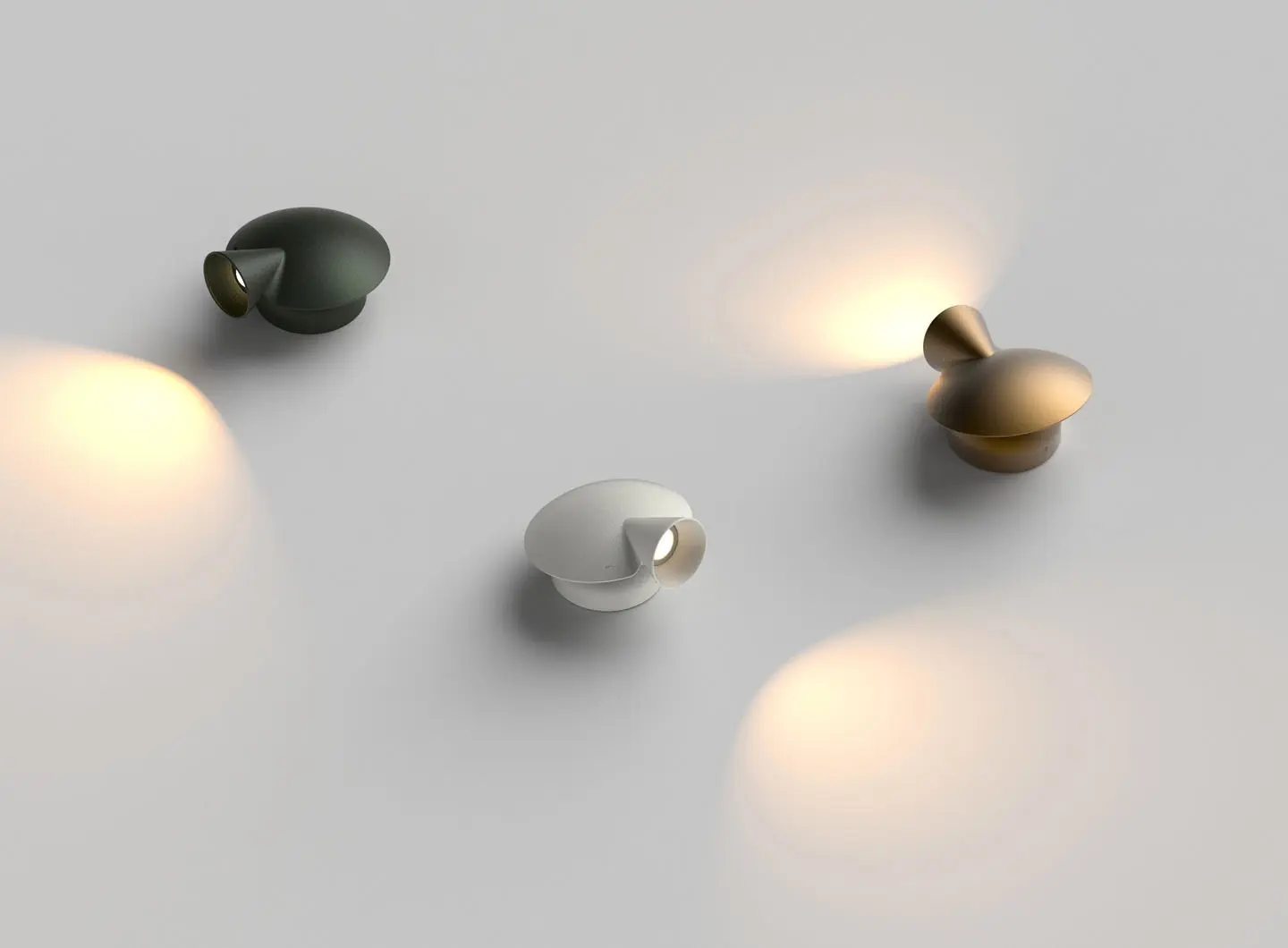 Martinelli Luce - Tortuga