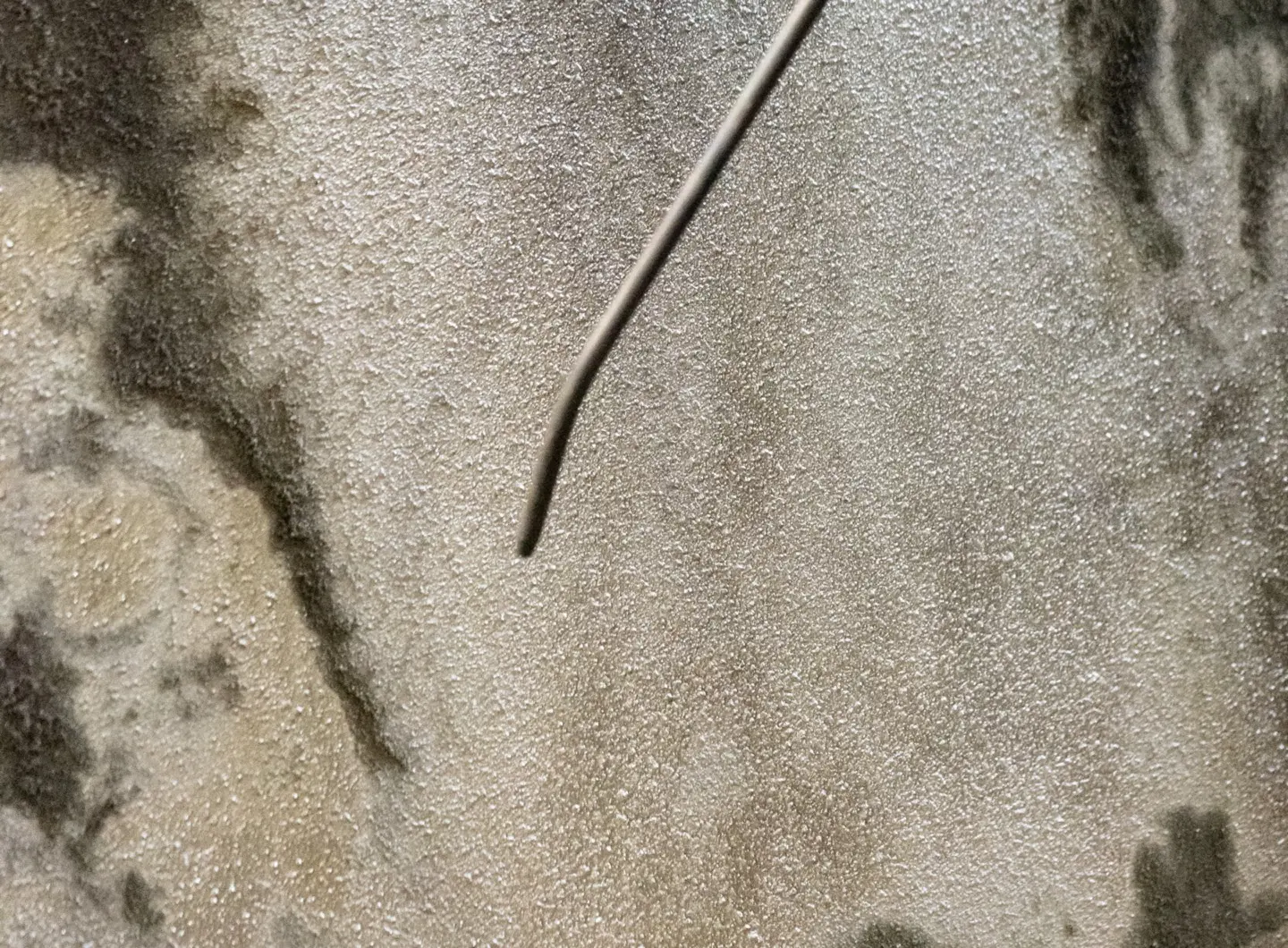Cave_Produzione_Gallery05.jpg
