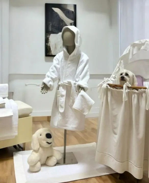 Maison Claire S.r.l. - Collezione Pizzo Giugliuccio