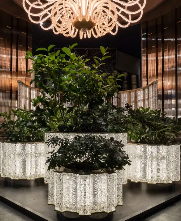 iDOGI Chronos Luminous Garden