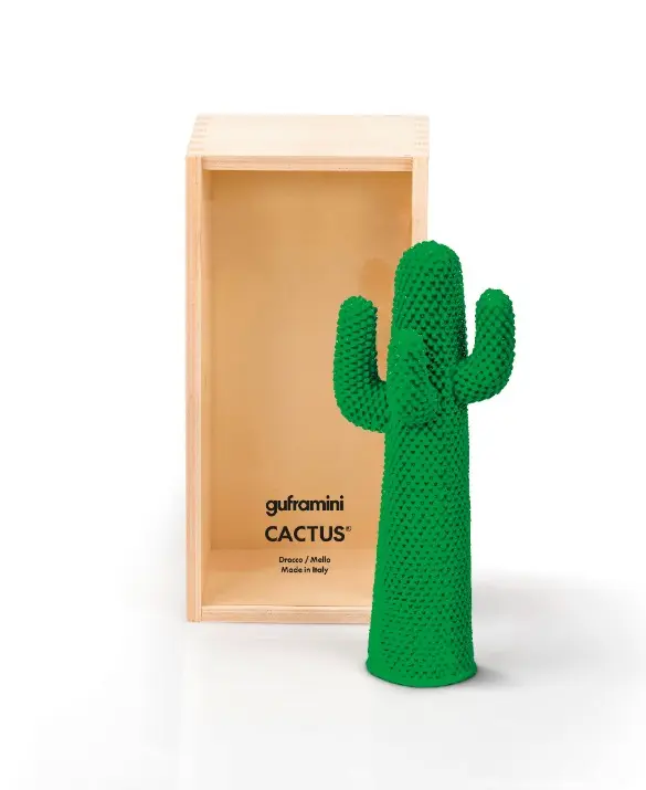 still_guframini_cactus.jpg