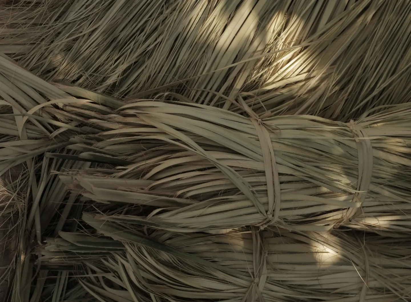 Adobe_Express___file__7_.jpg