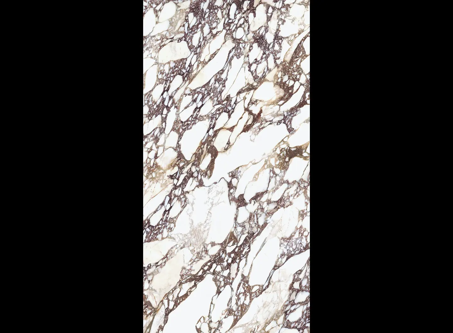 Calacatta Viola Book Match - Faccia A