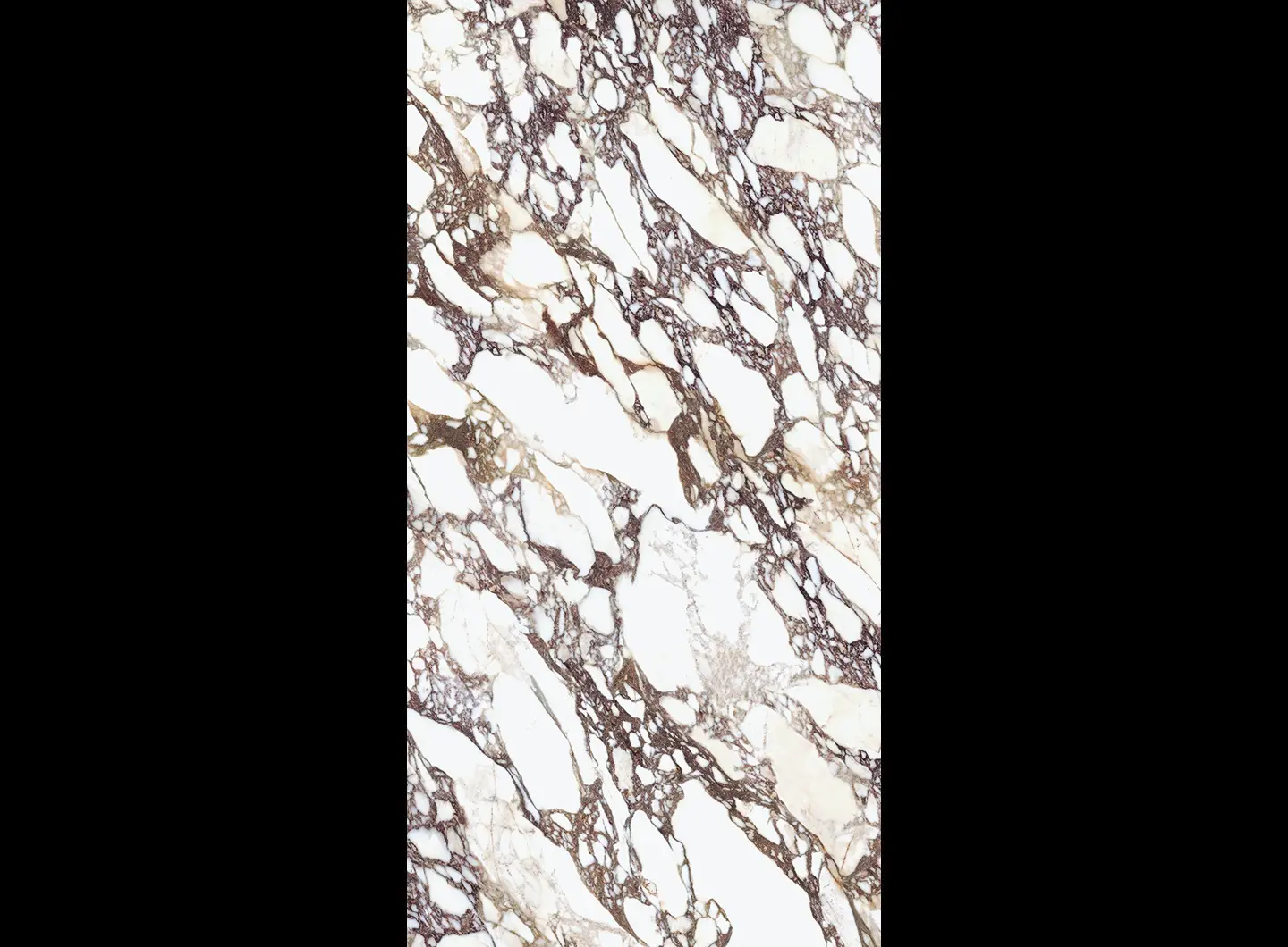 Calacatta Viola Book Match