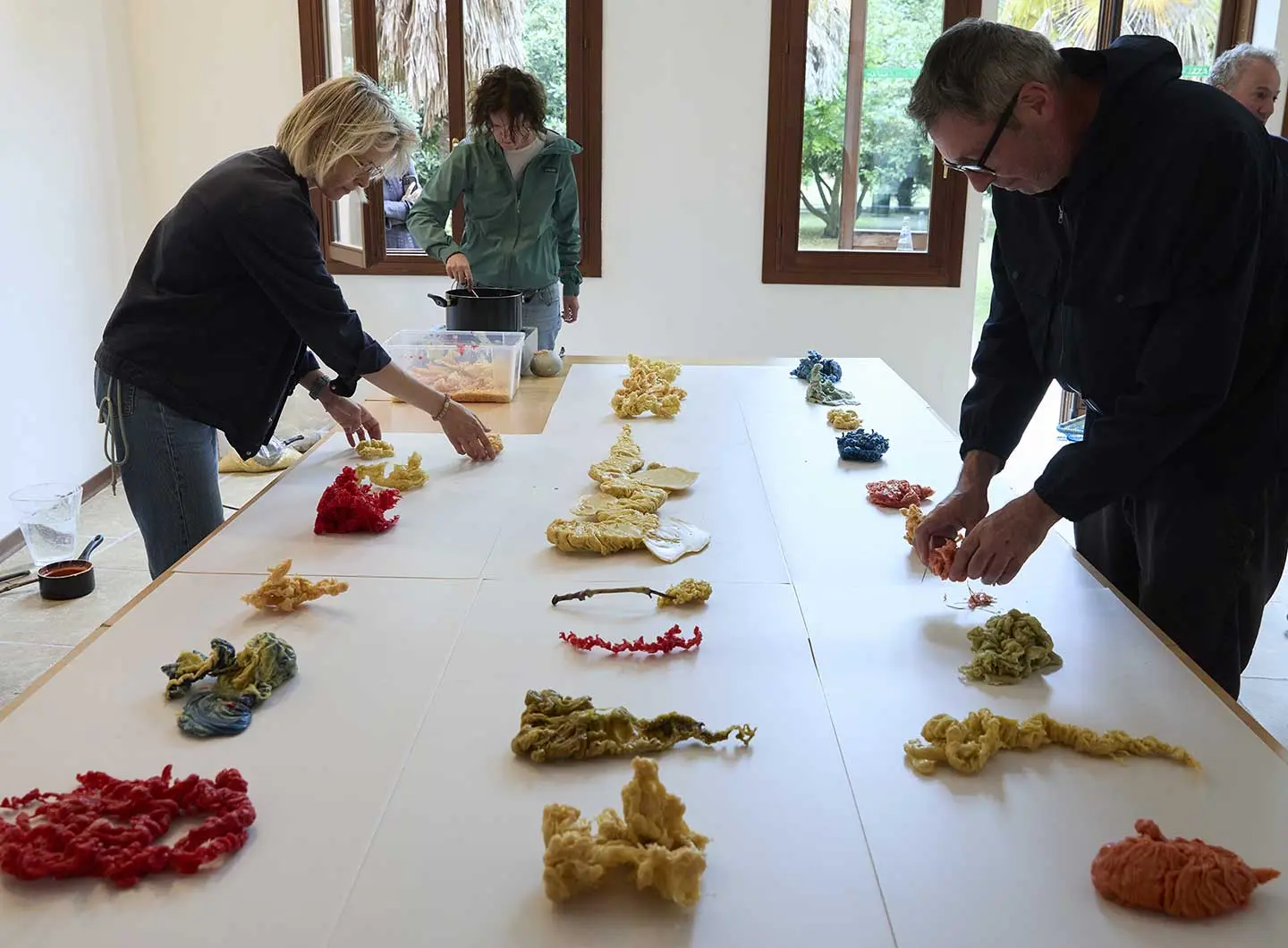 I Green Design Days 2025 sull'Isola di San Servolo