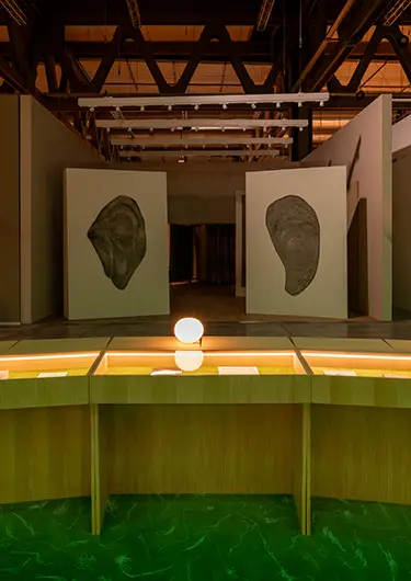 Salone's Library