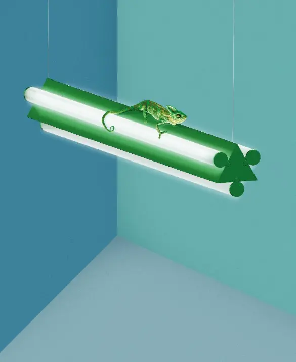 2023_Dreispitz_lamp_chameleon_MOD.jpg