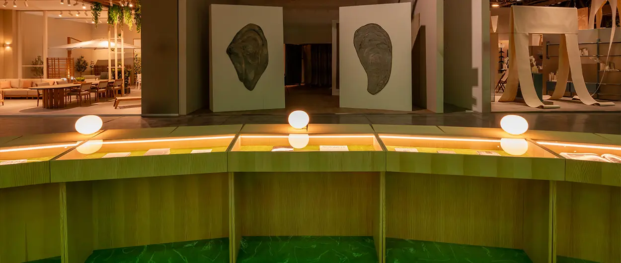 Salone's Library