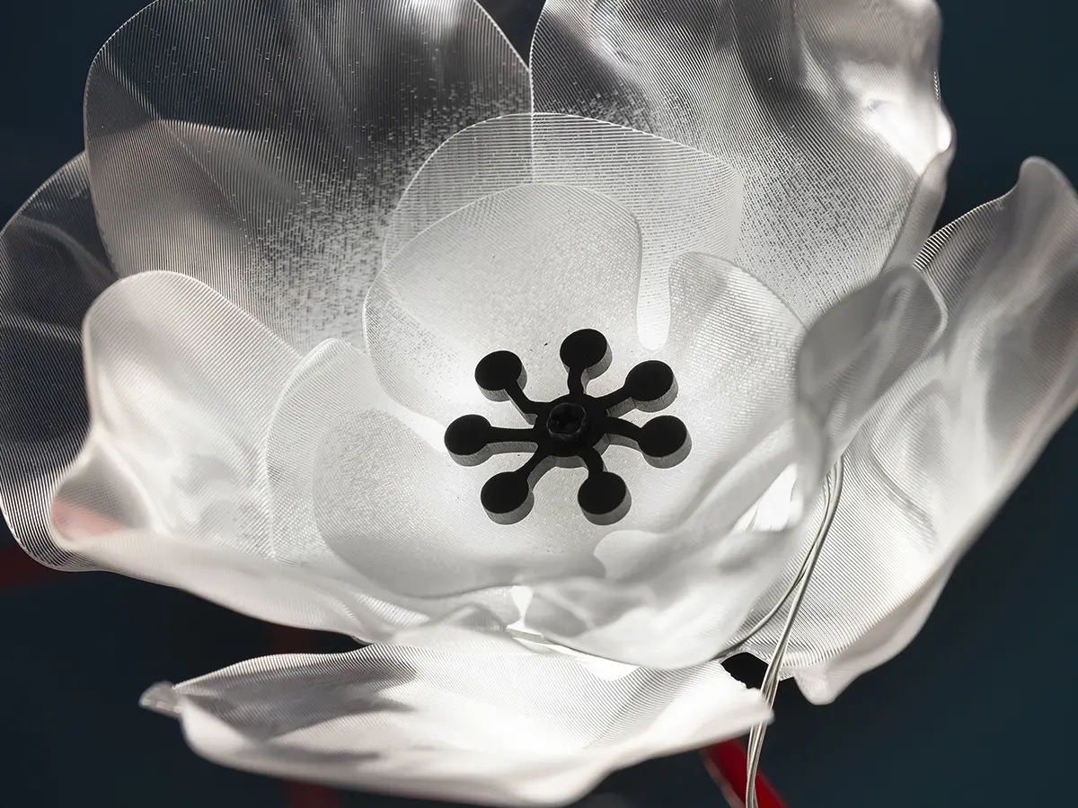 Poppy Suspension