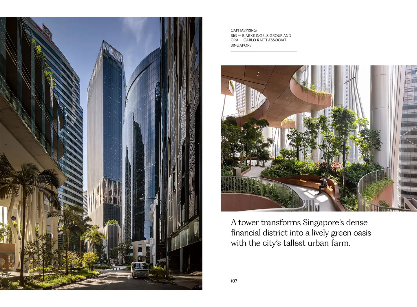 singapore-ratti-ingels