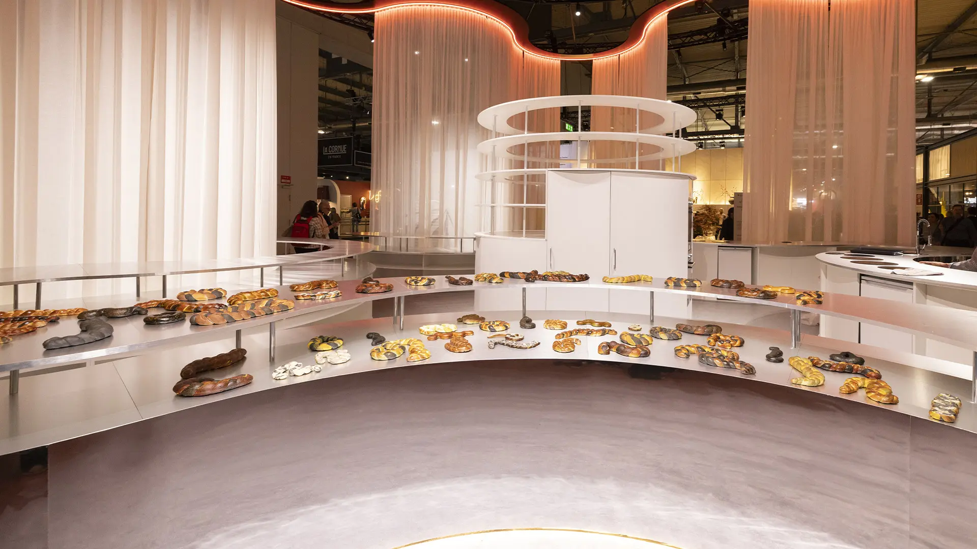 Arena Food Design Project