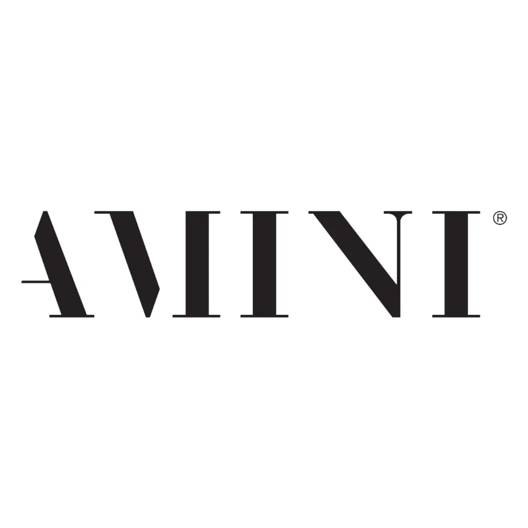 Amini Carpets