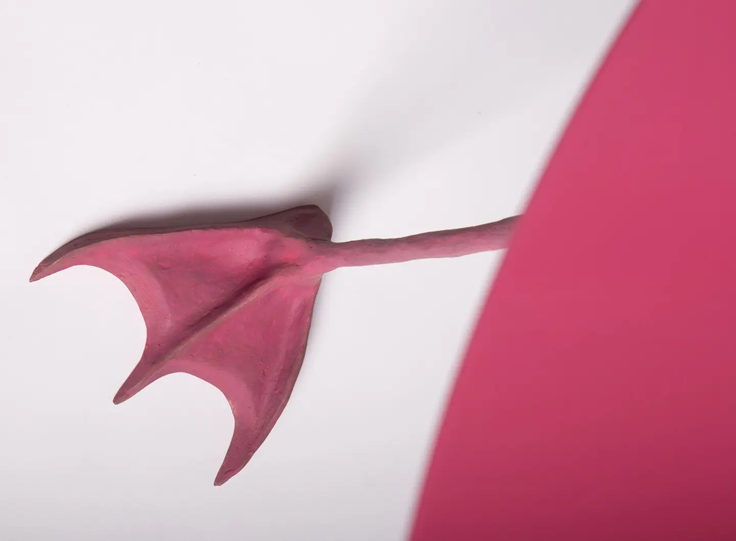 Paradisoterrestre Sleeping beauty Calori & Maillard