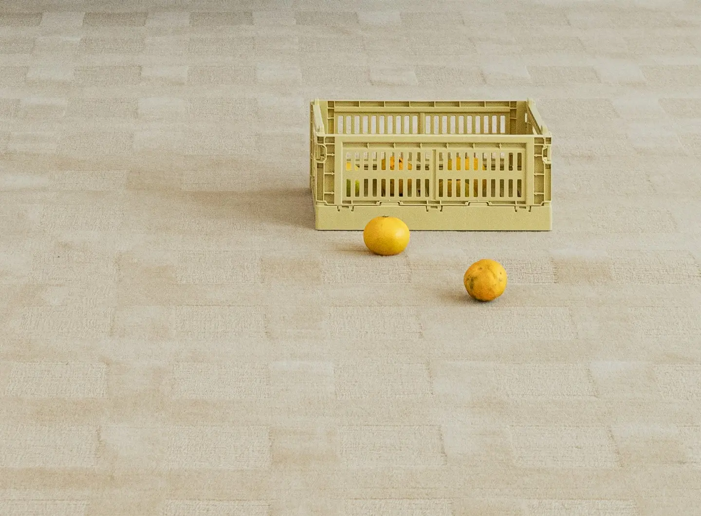 Zoom of our Archiscape collection 