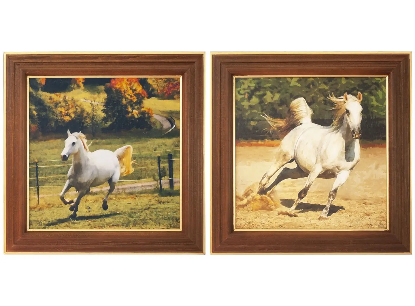 Due quadri affiancati con cornici in legno color noce. In entrambe le immagini è raffigurato un cavallo bianco in corsa. Nel primo quadro il cavallo galoppa in un prato con alberi colorati sullo sfondo; nel secondo corre velocemente su un terreno chiaro con vegetazione verde intorno. Le scene trasmettono movimento ed energia.