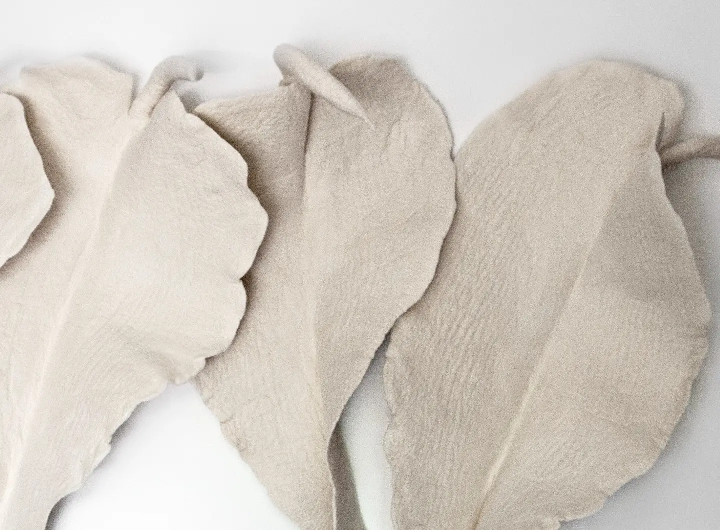 Wall leaved by Inês Schertel in felted wool