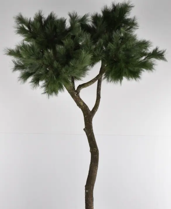 MAZU semi-artificial tree collection