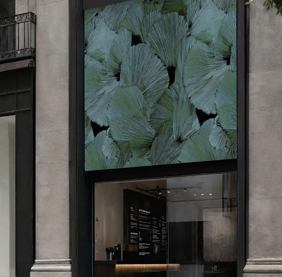 Out System - Eternal Beauty