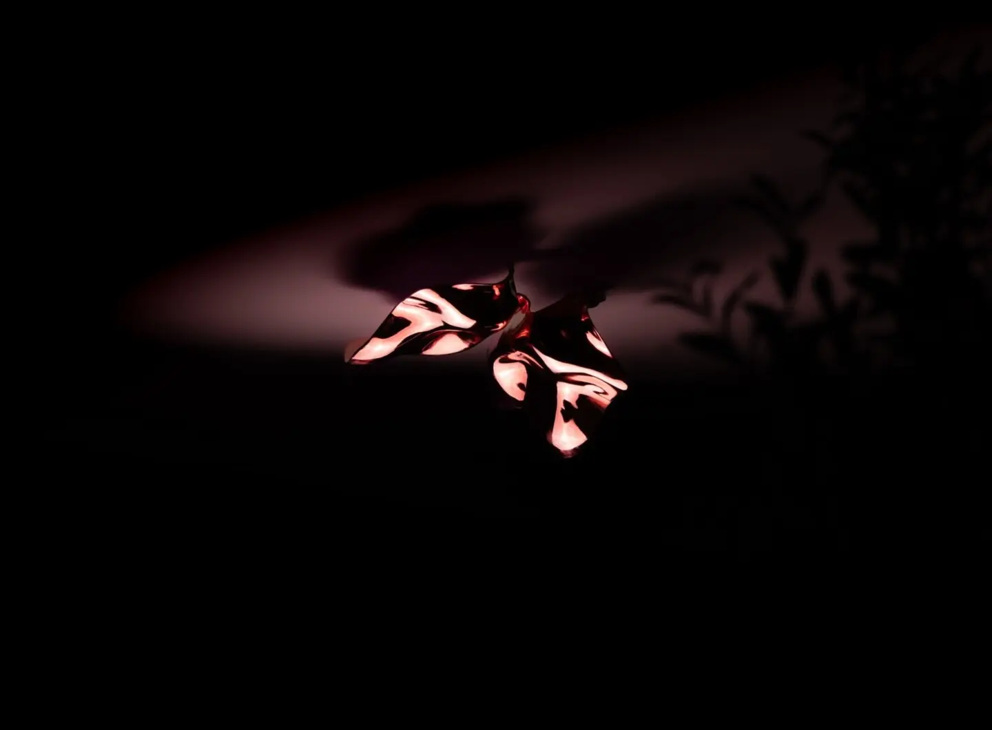 ZAZA Maizon Images gallery