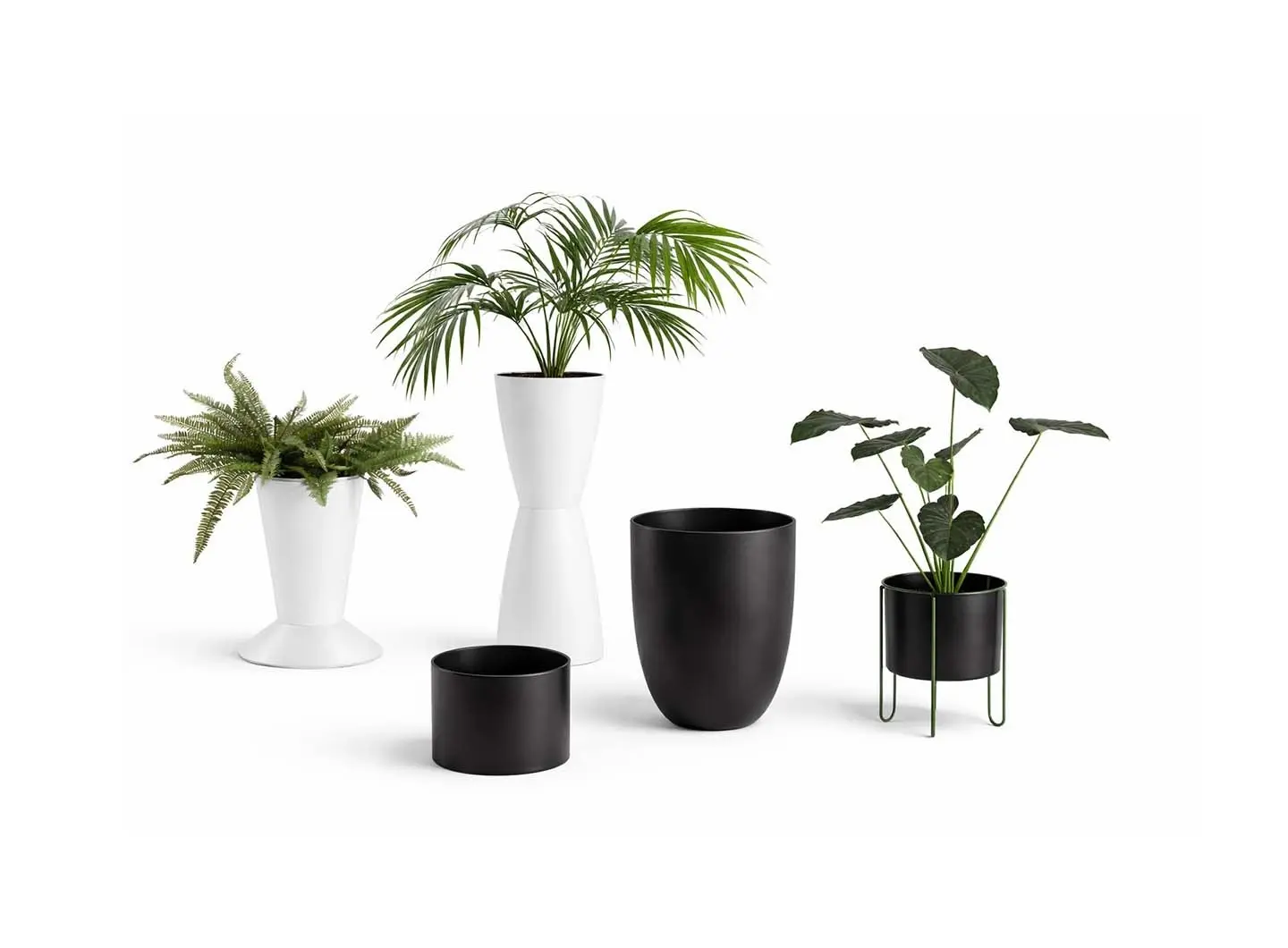 Planters Collection