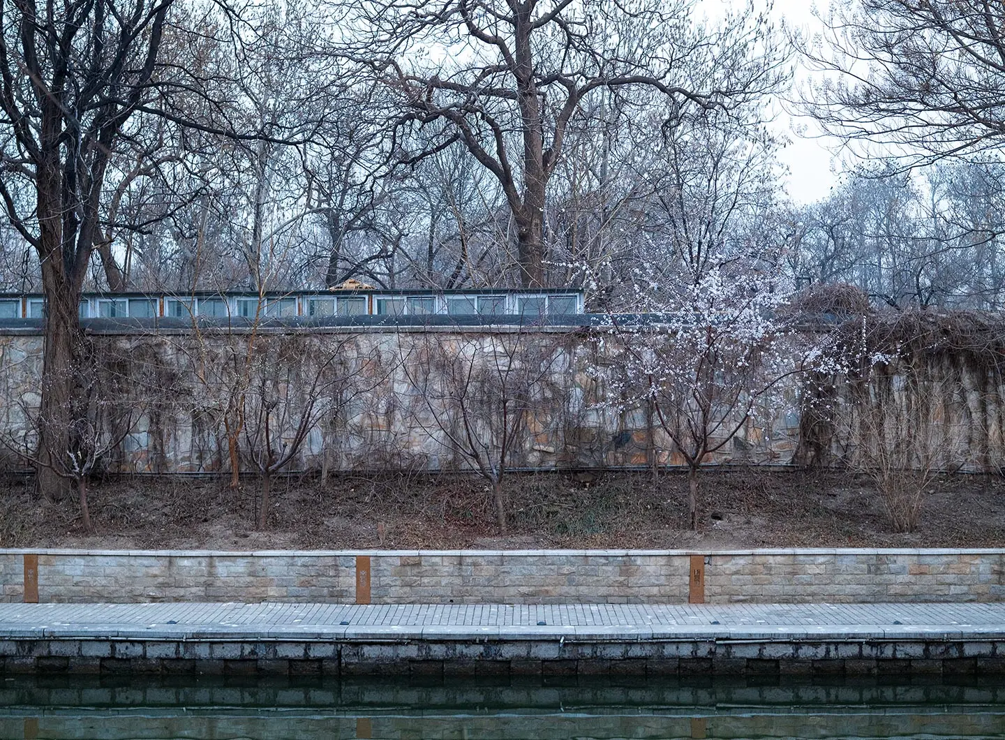 Licheng Ling x Salone del Mobile.Milano + Sigma