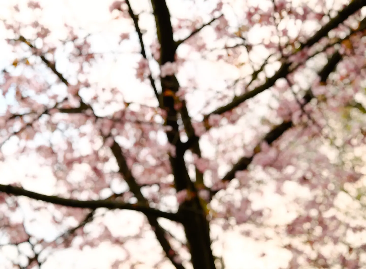 Auronda Scalera x Salone del Mobile.Milano + Sigma