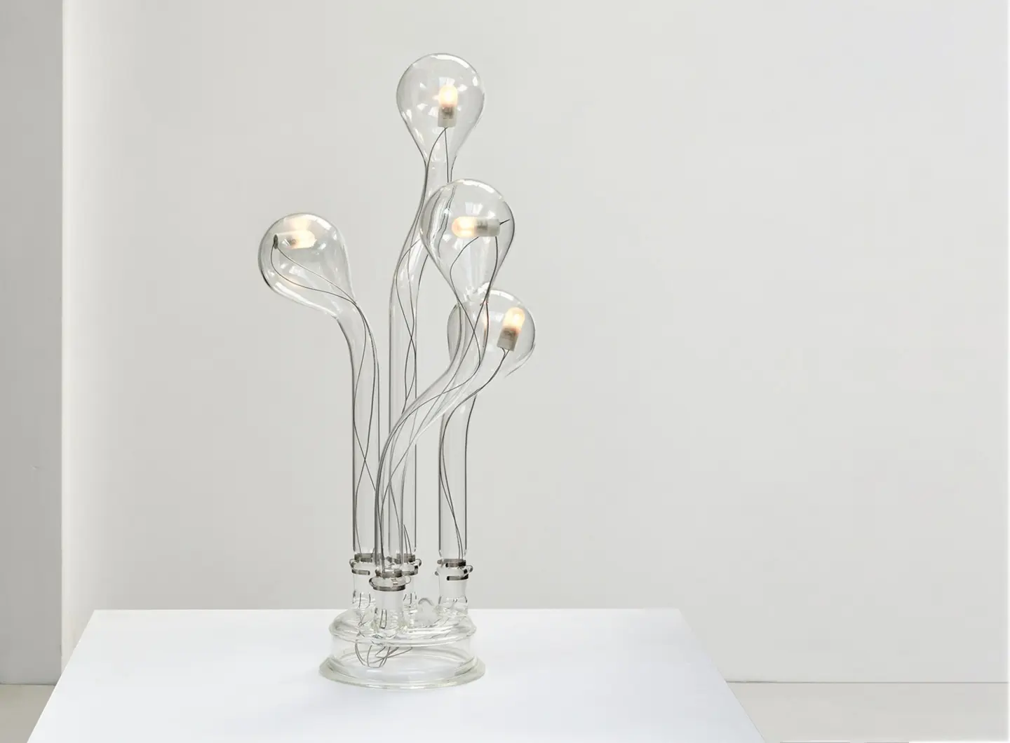 Experiment Lamp