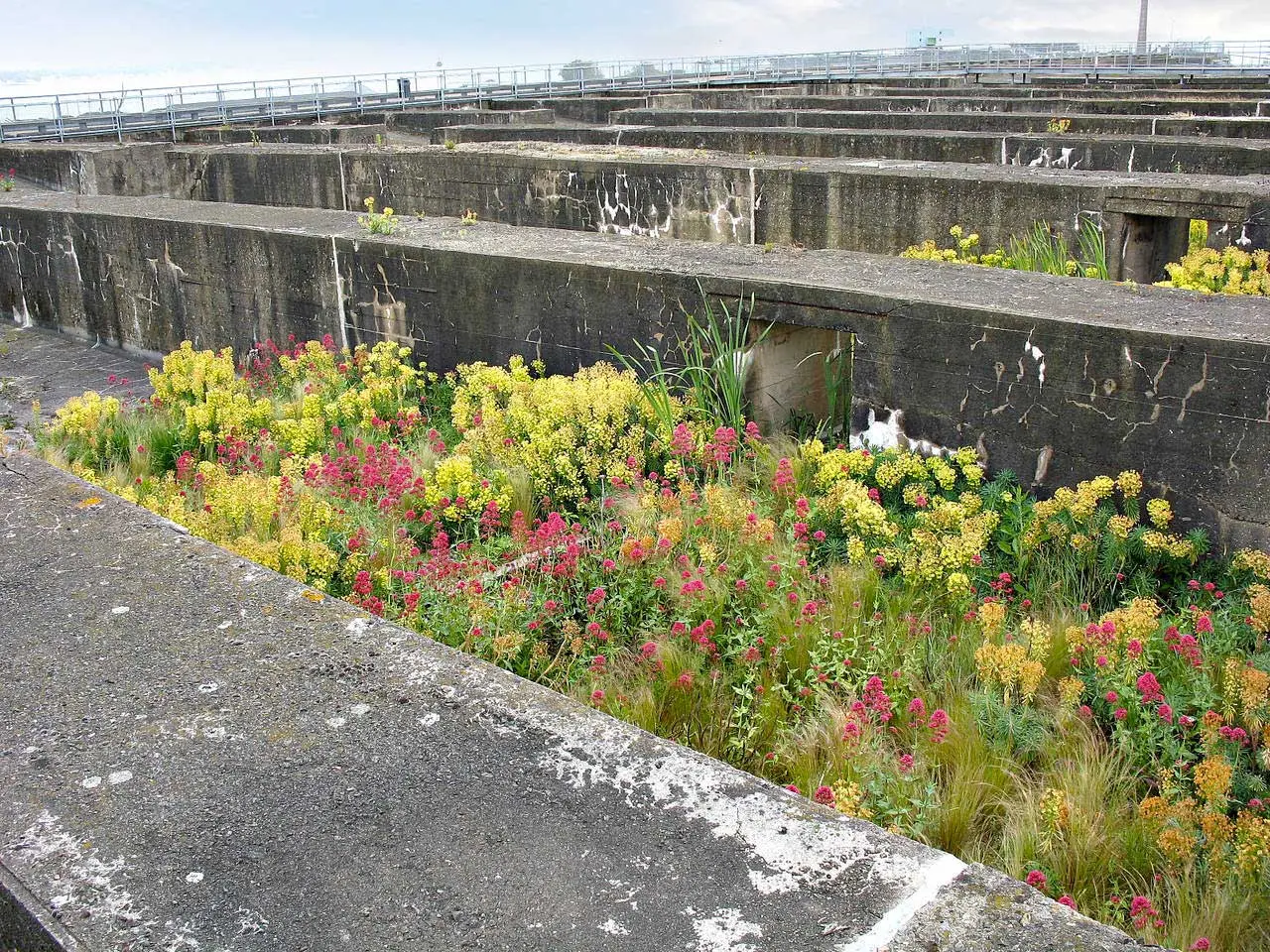 landscape architecture