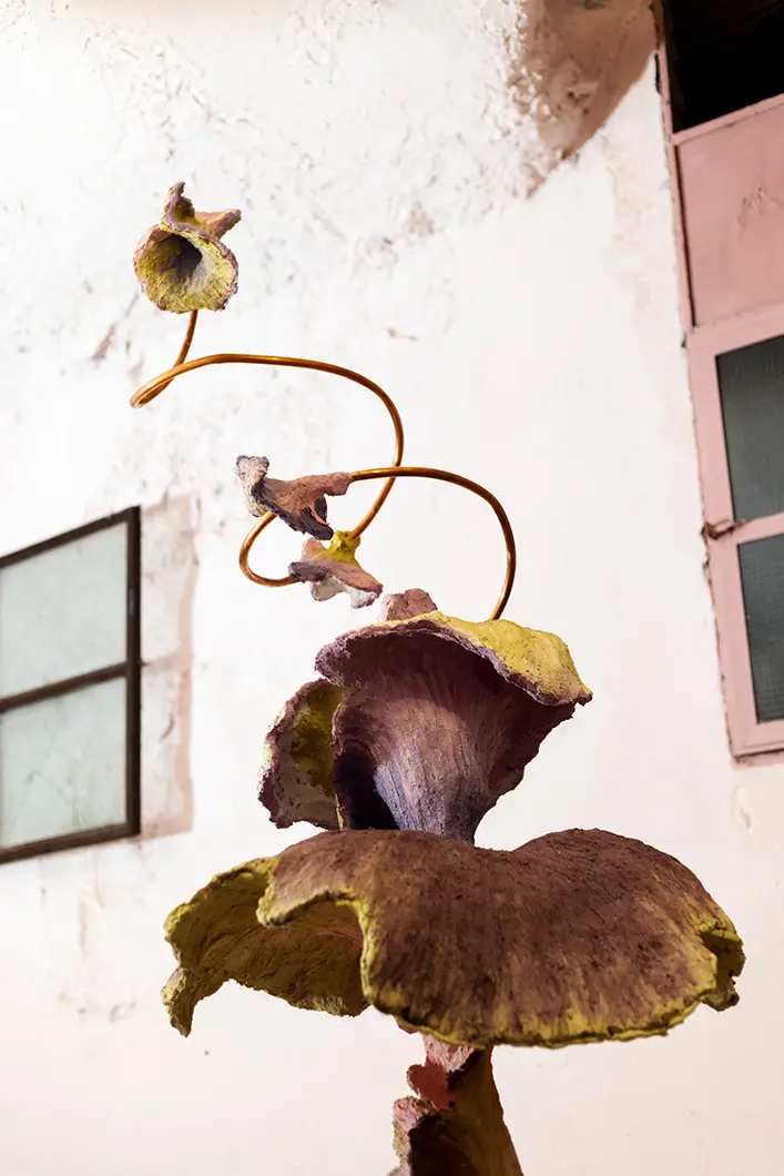 Delizie, Edoardo Piermattei + MIRA, Lingotto Fiere