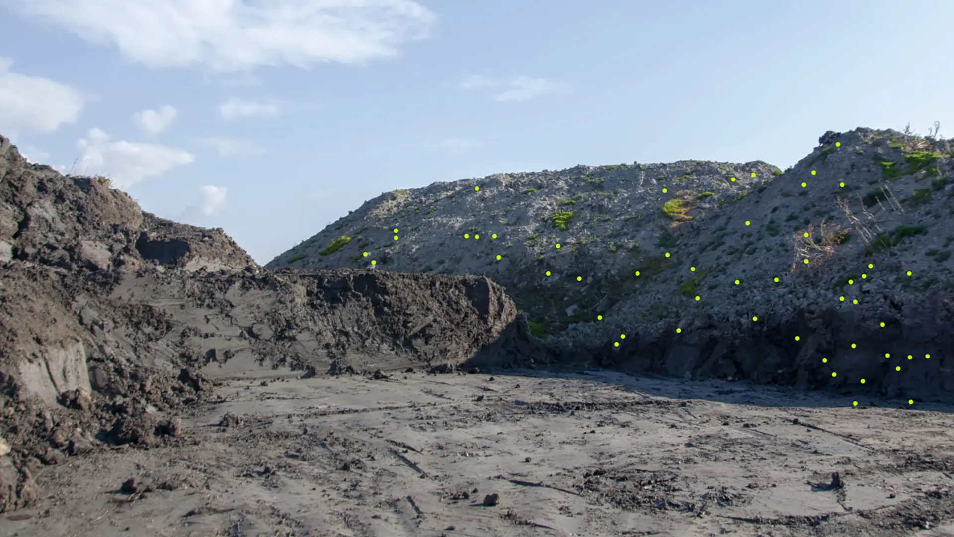 Turning polluted soil into bricks