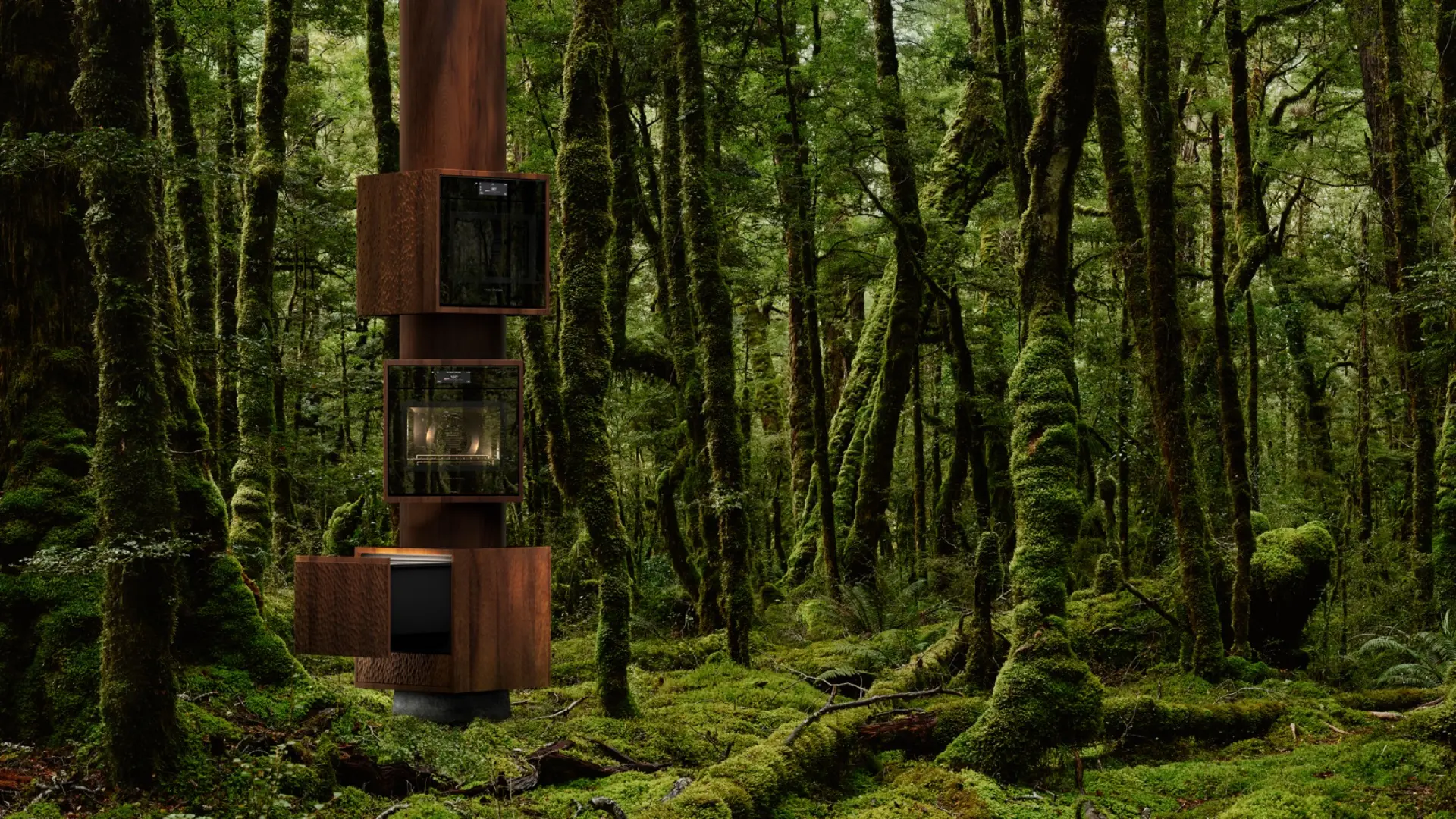 DESIGN INSPIRED BY NATURE