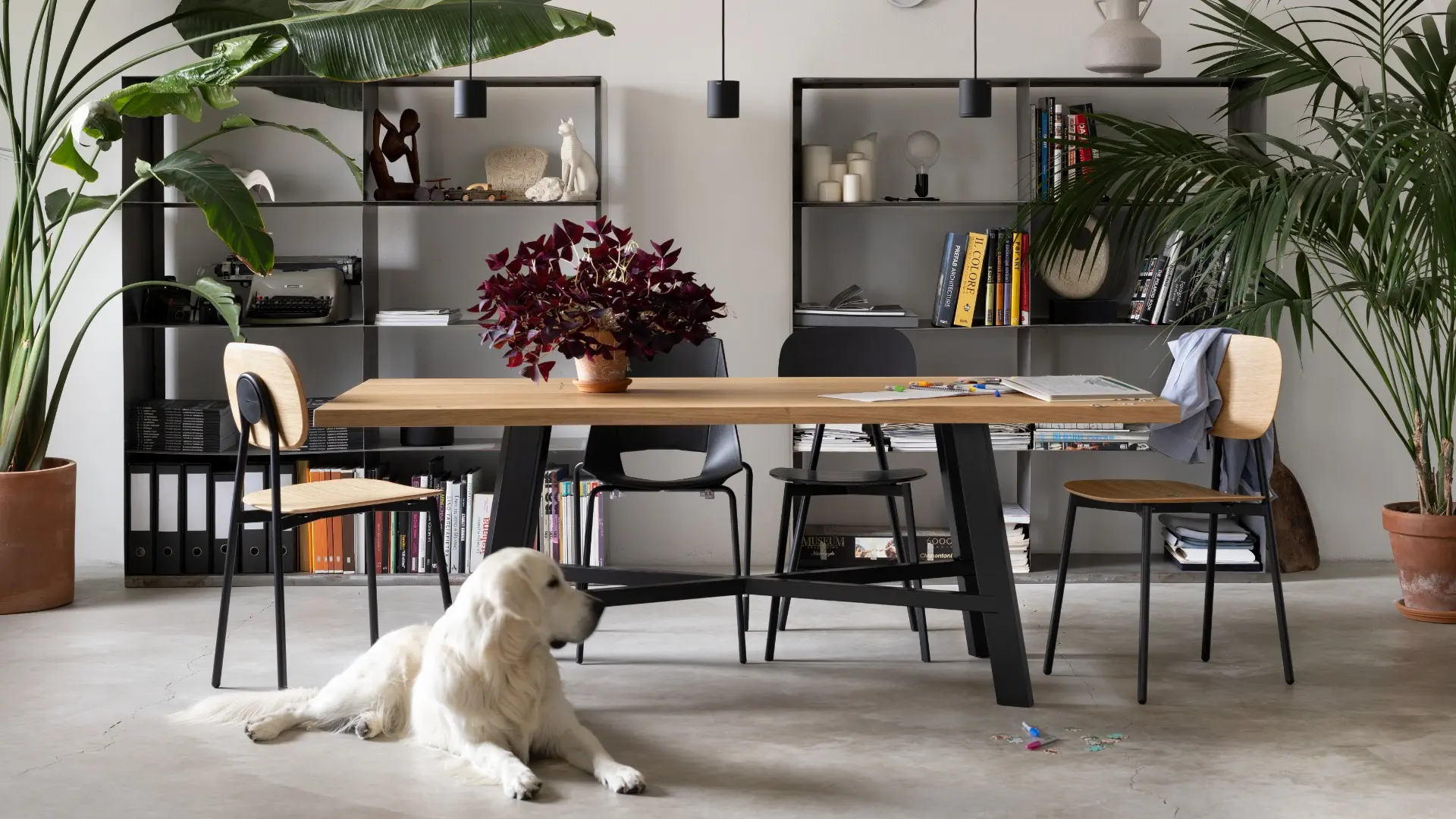 Pointhouse, complementi d'arredo Made in Italy