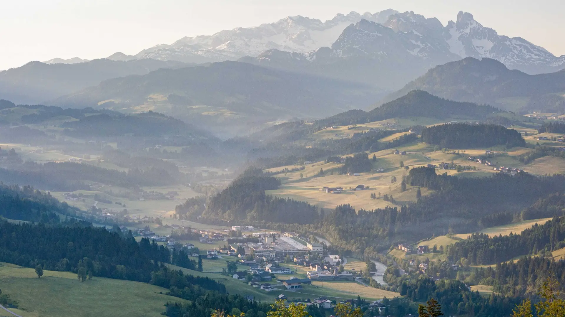 Voglauer_mit_Bergkulisse.jpg